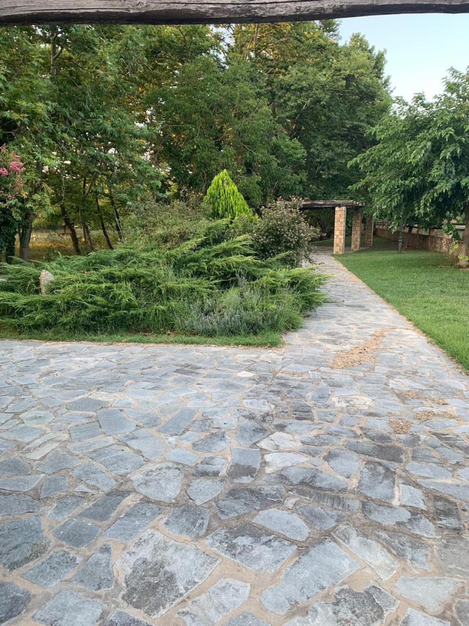 Platanorema Agios Ioannis Prodromos Exterior foto