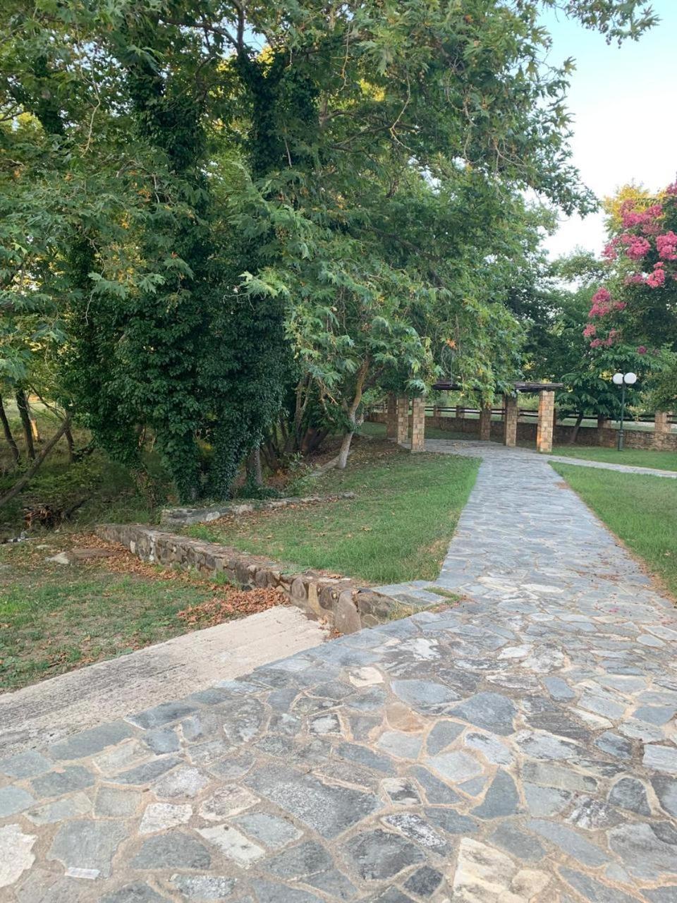 Platanorema Agios Ioannis Prodromos Exterior foto